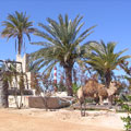 Djerba - 3